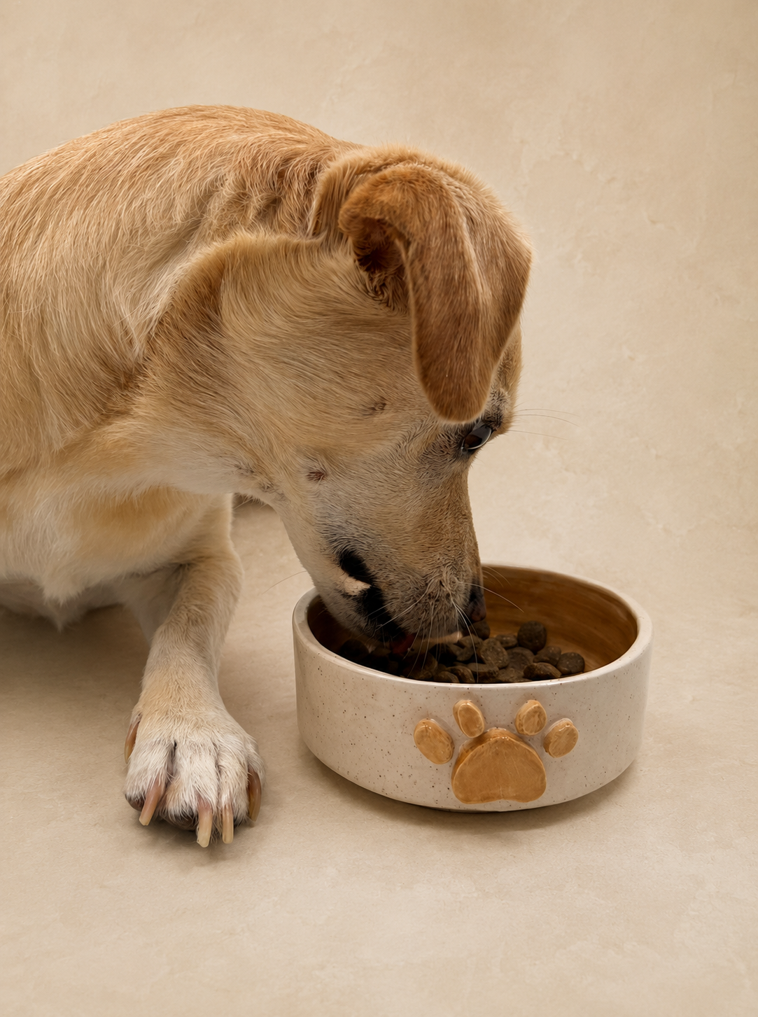 El Yapımı Seramik Kedi & Köpek Mama Kabı-Pati İki Renkli